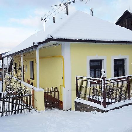 Lately Renovated Country House Тренчин Екстер'єр фото