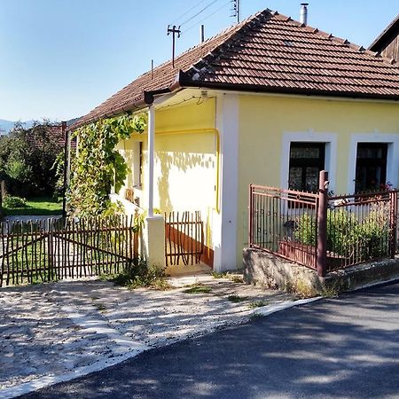 Lately Renovated Country House Тренчин Екстер'єр фото