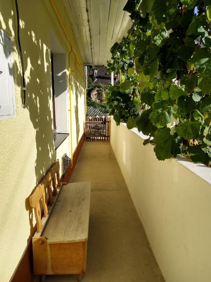Lately Renovated Country House Тренчин Екстер'єр фото