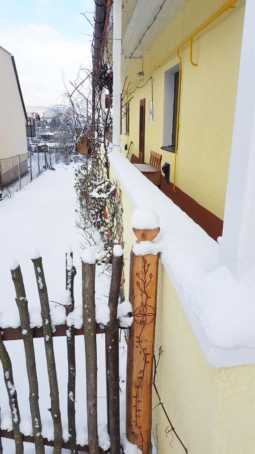 Lately Renovated Country House Тренчин Екстер'єр фото